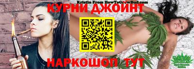 стафф Новозыбков