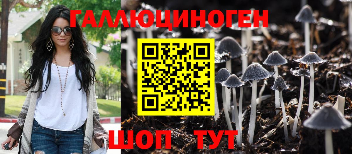 Скопин  Галлюциногенные грибы ЛСД  Вход с VPN 