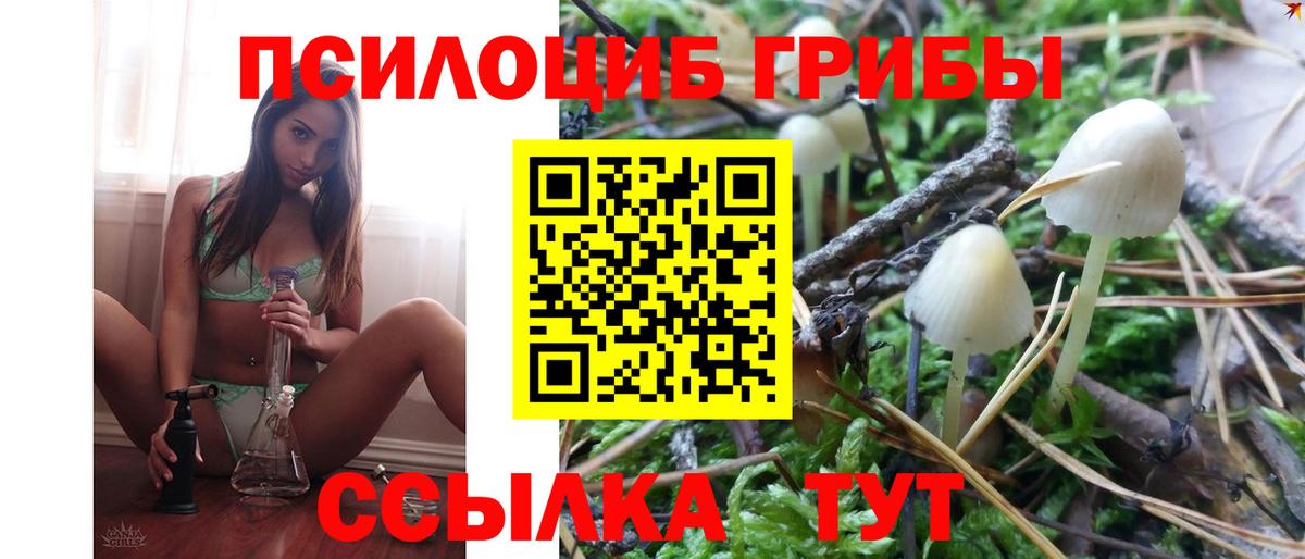 Галлюциногенные грибы прущие грибы Скопин